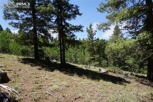 1000 Bennett Dr, Cripple Creek, CO, 80813 | Card Image