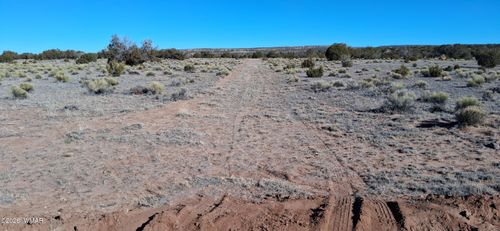 24 County Road N6578, Saint Johns, AZ, 85936 | Card Image