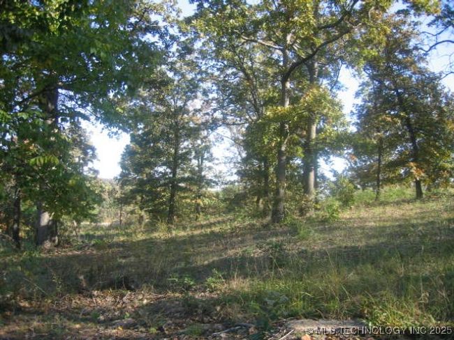 6 953 Rd, Home with 0 bedrooms, 0 bathrooms and null parking in Vian OK | Image 4