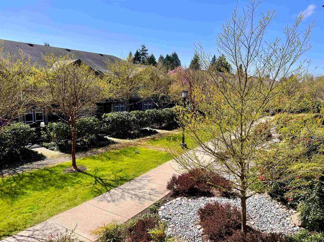 Surrounding community with a lawn | Image 21