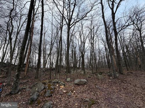 Lot 287.2 Spring Mountain Dr, Zion Grove, PA, 17985 | Card Image