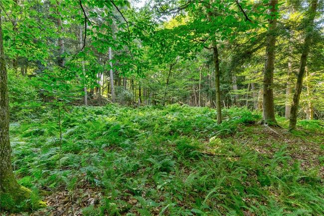 View of landscape | Image 18