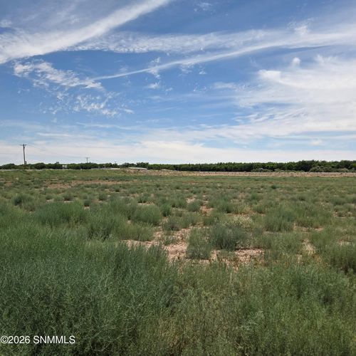 2d-6525 Valle Del Rio Dr, La Mesa, NM, 88044-9668 | Card Image
