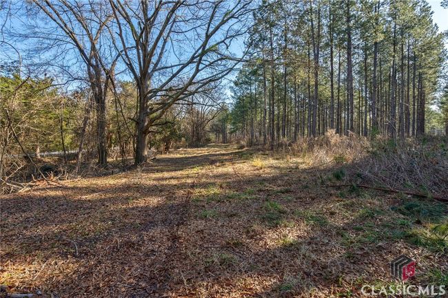 0 Hwy 77, Home with 0 bedrooms, 0 bathrooms and null parking in Lexington GA | Image 16