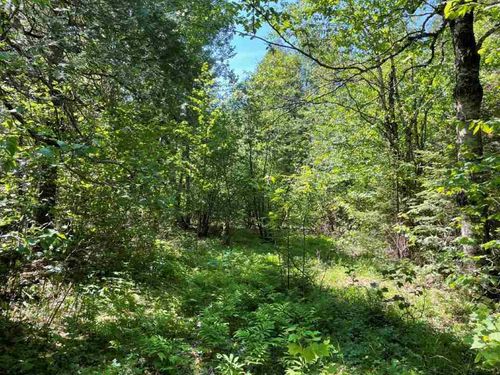 xxx Stoney River Forest Rd, Isabella, MN, 55607 | Card Image