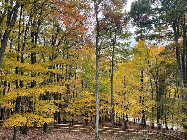 48 Grouse Thicket Rd, House other with 3 bedrooms, 3 bathrooms and null parking in Mars Hill NC | Image 34