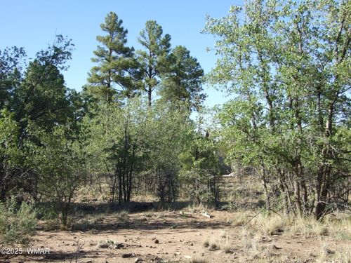 Parcel E Lamb Dr, Pinedale, AZ, 85934 | Card Image