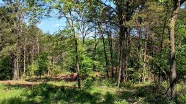 27B & 28B Shelby Lane, Home with 0 bedrooms, 0 bathrooms and null parking in Cecil AR | Image 13