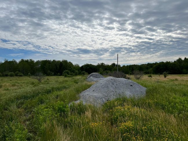 Lime ready to be spread | Image 27