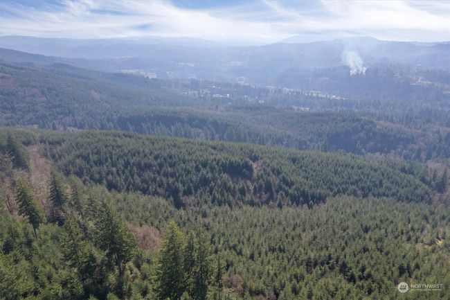 0 Ne Cedar Mist Rd, Home with 0 bedrooms, 0 bathrooms and null parking in AMBOY WA | Image 5