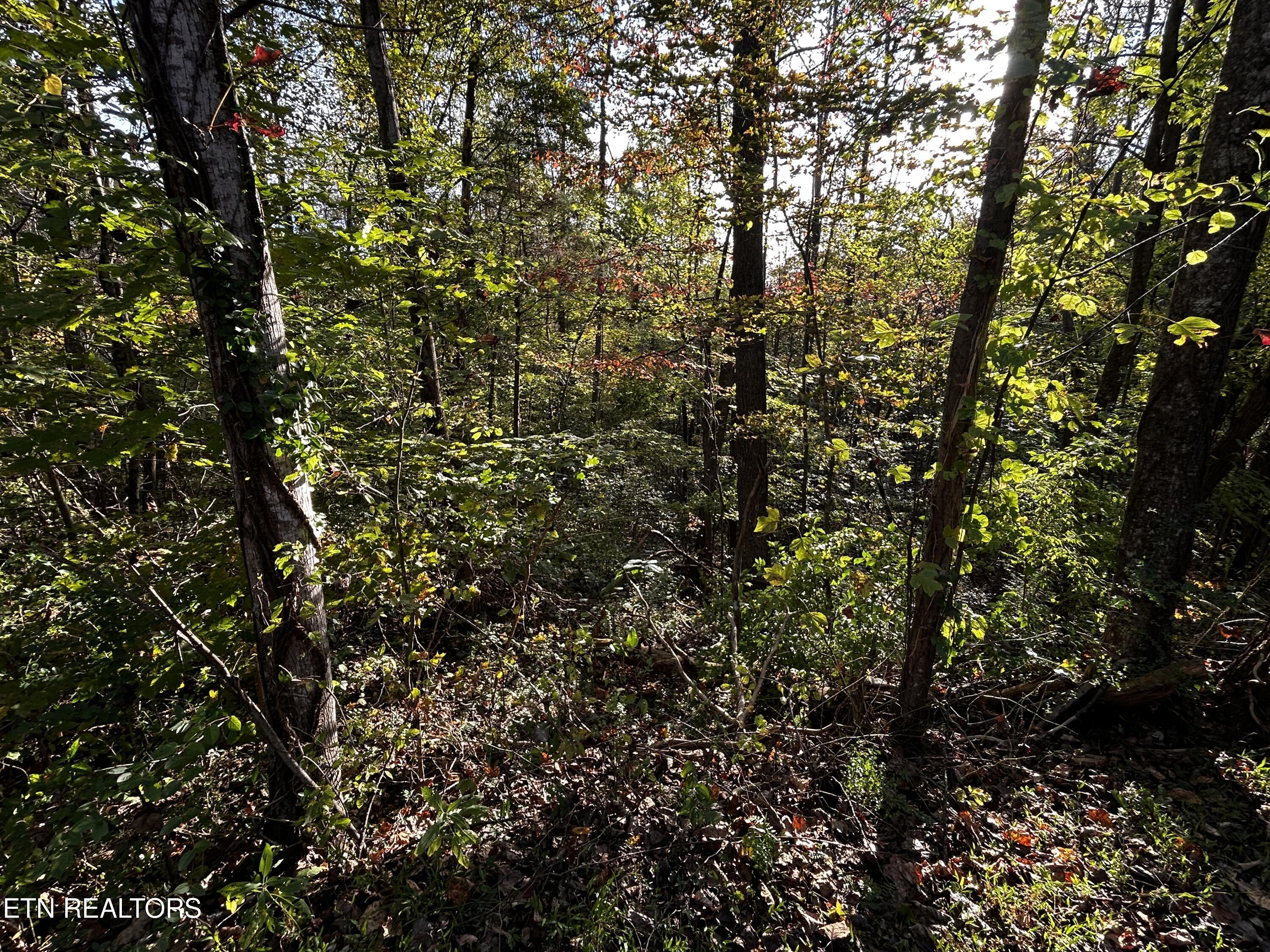 Land in Clinton 5