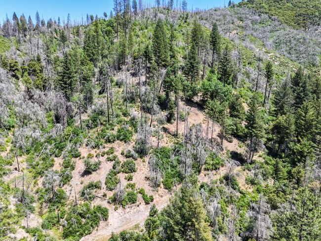 0000 E Fork Rd, Home with 0 bedrooms, 0 bathrooms and null parking in French Gulch CA | Image 55