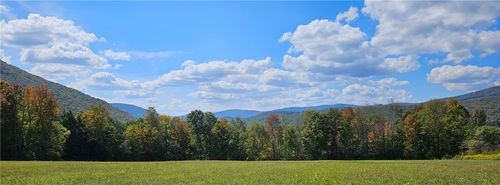 161 N Montgomery Hollow Rd, Roxbury, NY, 12474-1611 | Card Image