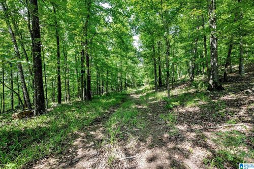 59-140 Hampton Lake Dr, PELHAM, AL, 35124-4812 | Card Image