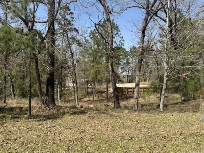 318 Oakwood Ln, Home with 0 bedrooms, 0 bathrooms and null parking in Trinity TX | Image 5