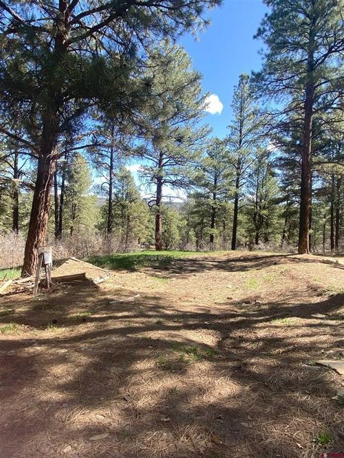 116 Nutria Cir, Pagosa Springs, CO, 81147-9643 | Card Image