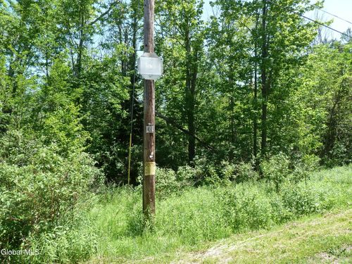 l6-L6.114 Berry Ln, Hunter, NY, 12442 | Card Image