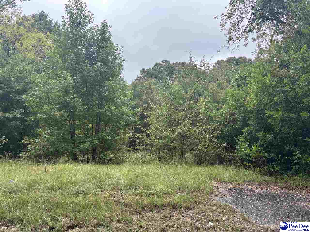 Land in Hartsville 5