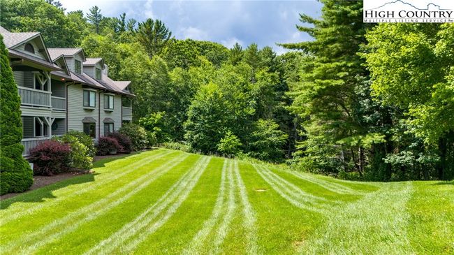 In back of the condo is this large grassy lawn where the deer and the rabbits play | Image 32