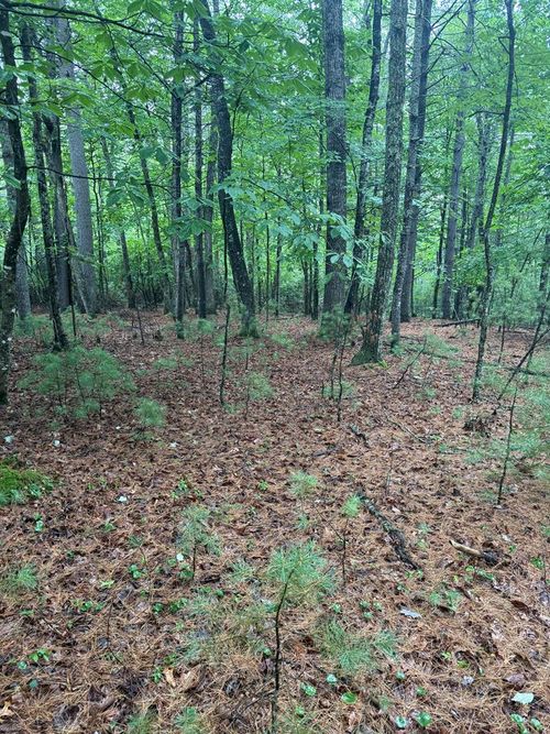 TBD Fox Spring Ln, Galax, VA, 24333 | Card Image