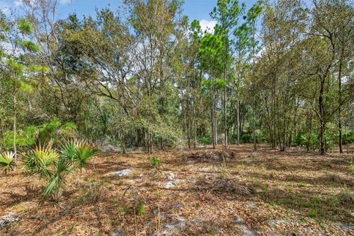 11803 Dog Hollow Ln, LITHIA, FL, 33547 | Card Image