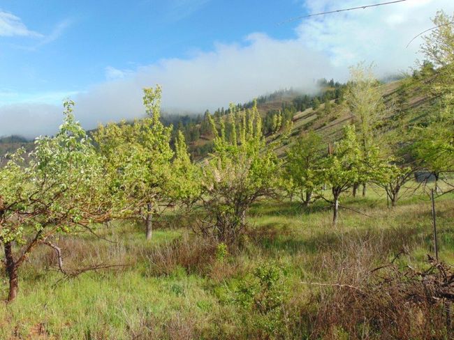 27235 Lazy Springs Rd, Home with 0 bedrooms, 0 bathrooms and null parking in Clinton MT | Image 22