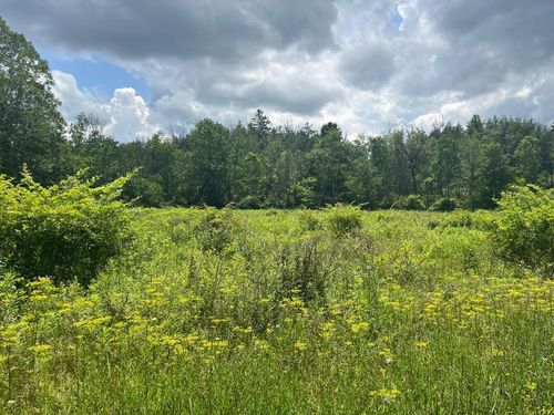 0 Hornbrook Rd, Ithaca, NY, 14850 | Card Image