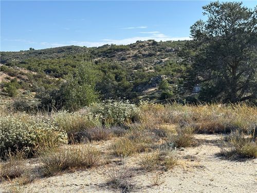 0 Dry Wash Rd, Anza, CA, 92539 | Card Image