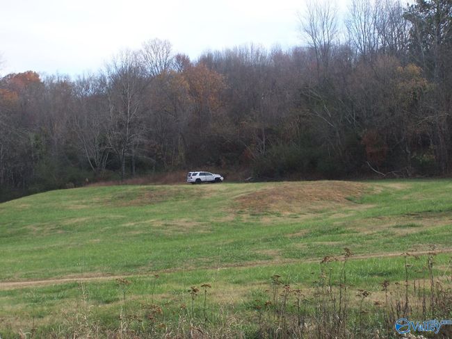 2176 Columbia Hwy, Home with 0 bedrooms, 0 bathrooms and null parking in Pulaski TN | Image 25