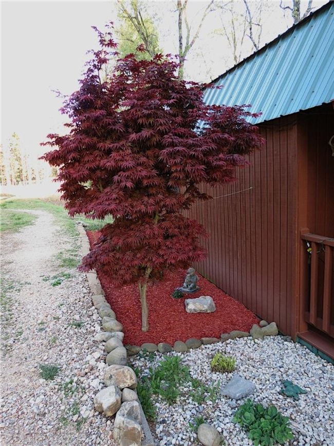 4019 Nc 3850, House other with 1 bedrooms, 1 bathrooms and null parking in Jasper AR | Image 23
