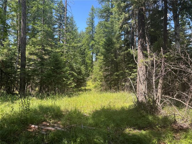13643 Sundance Trail, Bigfork, MT 59911 | Image 6