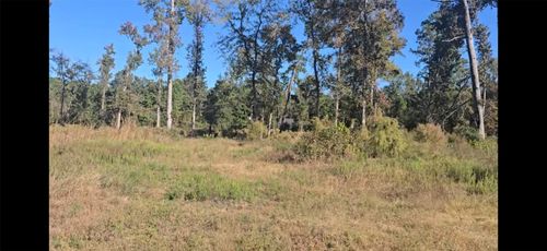 Tract C-4 Gaff Road, Magnolia, TX, 77355 | Card Image