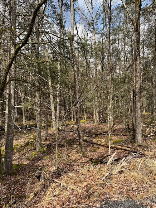 Leins Road, Fallsburg, NY Leins Road, Fallsburg, NY, 12733 | Card Image