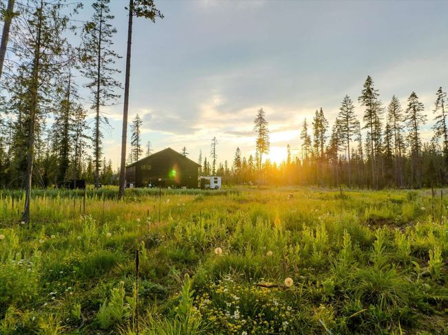 View of nature | Image 48