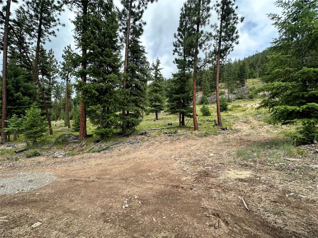 View of woods | Image 55