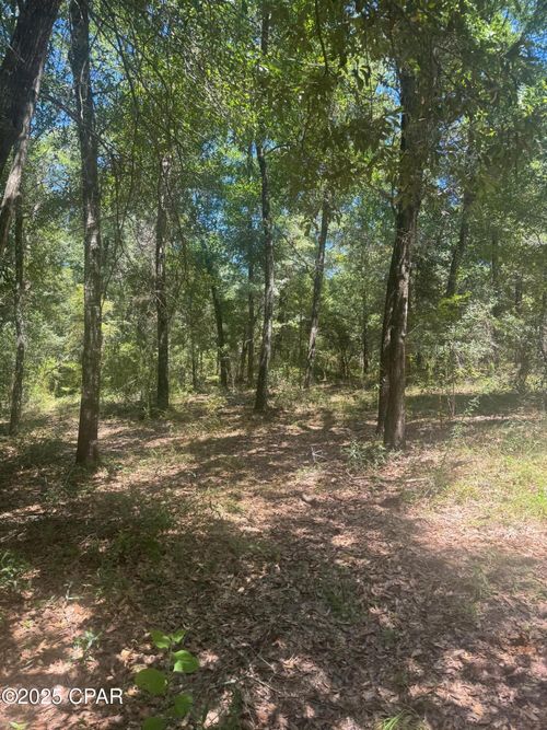 00 Dove Ct, Chipley, FL, 32428 | Card Image
