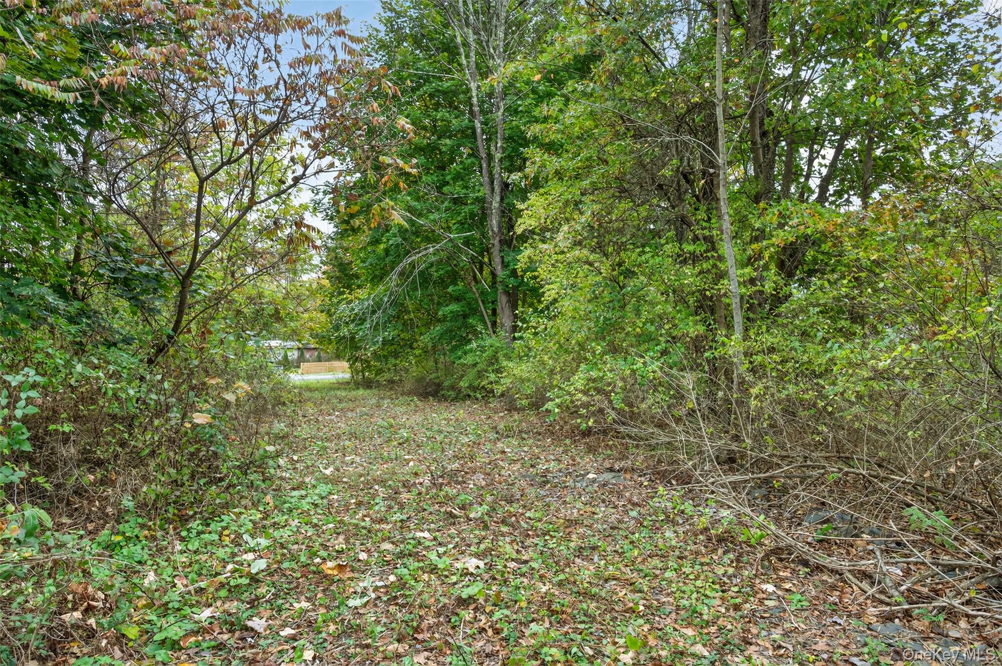 Land in New Paltz 5
