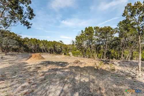 807 Stagecoach Trl, Spring Branch, TX, 78070-3864 | Card Image