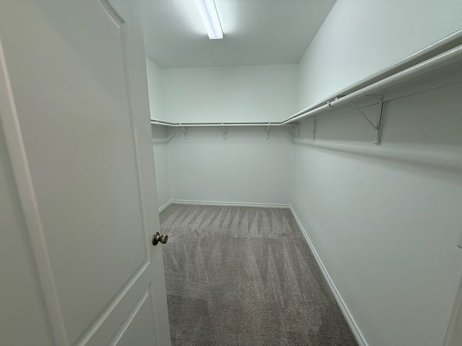 Spacious closet featuring carpet | Image 27