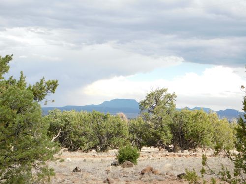 LOT 217 Squaw Pass, Quemado, NM, 87829 | Card Image