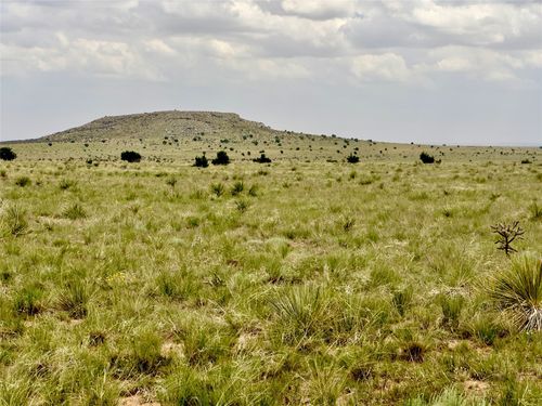 Martinez Pintada Ranch, Santa Rosa, NM, 88435 | Card Image