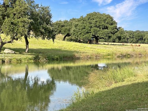 LOT 42 Blackbuck, Pipe Creek, TX, 78063 | Card Image