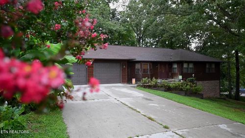 162 Mineral Springs Ln, Jacksboro, TN, 37757-2039 | Card Image