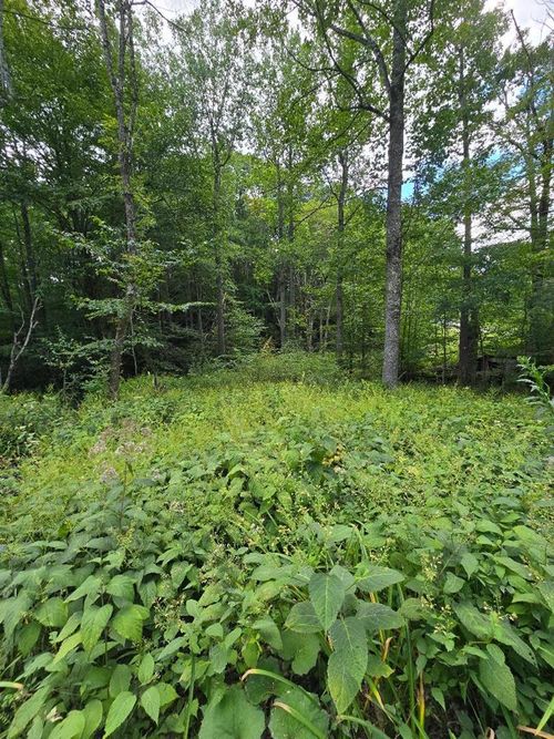 TBD Lost Lake Rd, Troutdale, VA, 24378 | Card Image