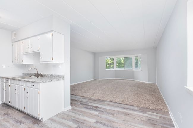 APT-202 - 300 S Roselle Rd, Home with 1 bedrooms, 1 bathrooms and 2 parking in Schaumburg IL | Image 8