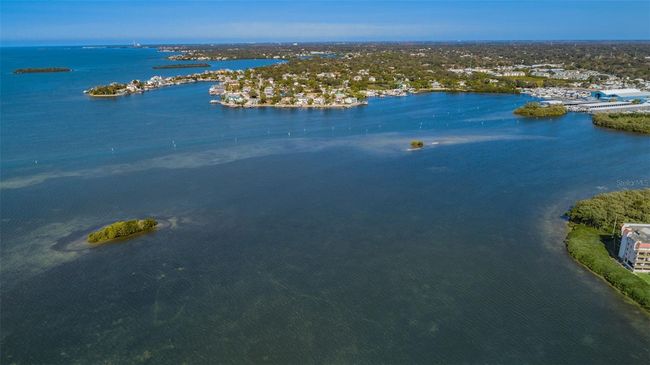 APT-1206 - 2700 Bayshore Blvd, Condo with 2 bedrooms, 1 bathrooms and null parking in DUNEDIN FL | Image 68