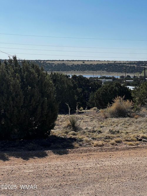 60 Short Ln, Concho, AZ, 85924 | Card Image
