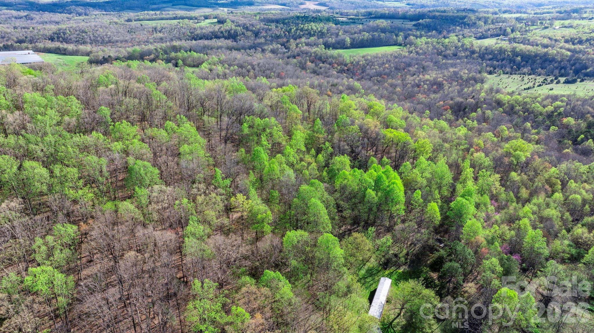Land in North Wilkesboro 3
