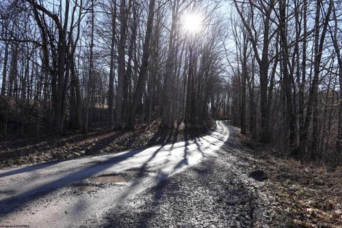 TBD King Summit Rd, Coalton, WV, 26257 | Card Image