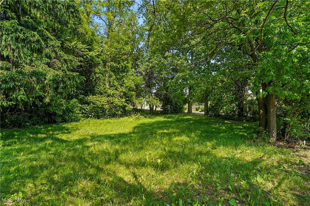 Land in Akron 3